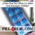 ¿Para Qué Se Utiliza La Jalea Oral Kamagra 100Mg1 viagra1